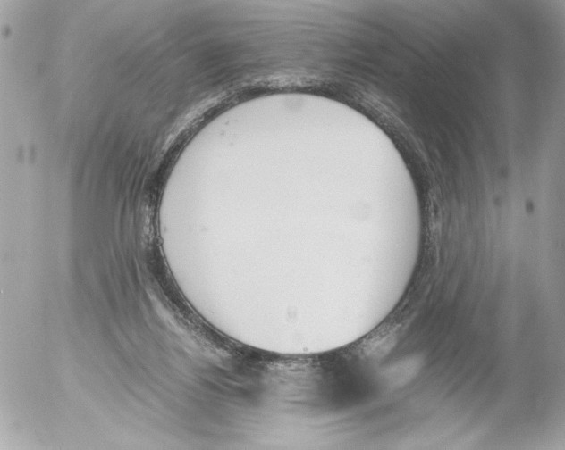 X0000052610164200507292158