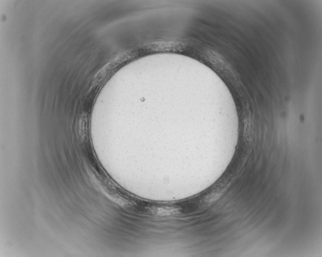 X0000052610165200507292158