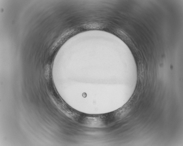 X0000052610167200507292158