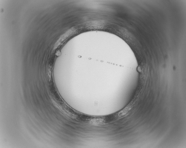 X0000052610168200507292158