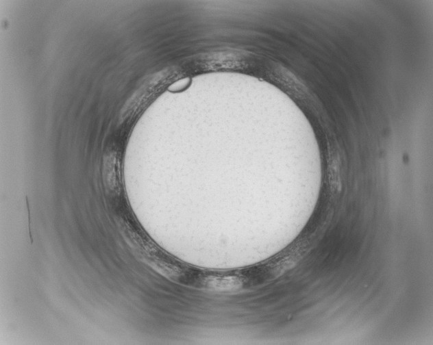 X0000052610169200507292158