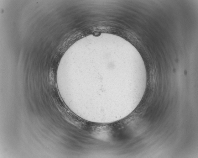 X0000052610173200507292158