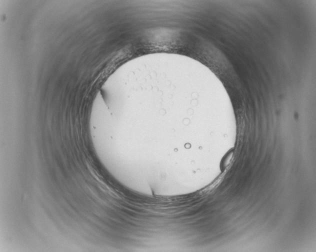 X0000052610174200507292158