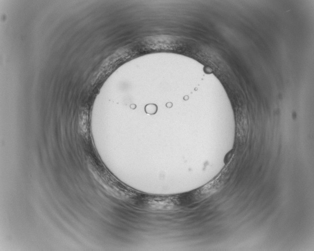 X0000052610175200507292158