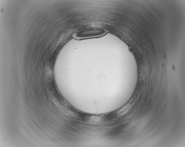 X0000052610176200507292158