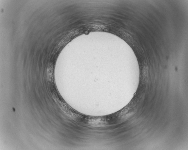 X0000052610177200507292158