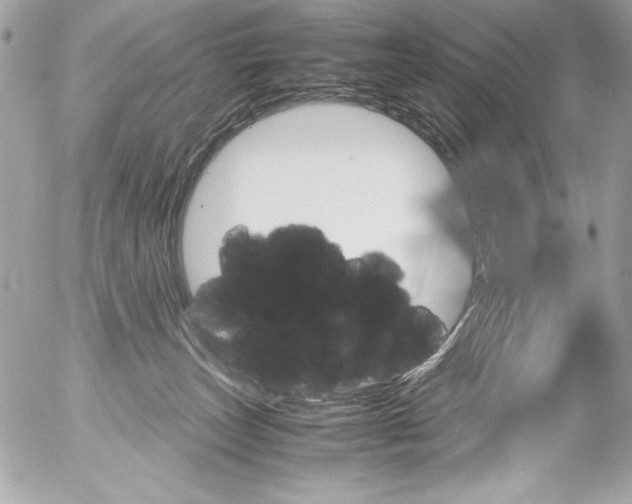 X0000052610179200507292158