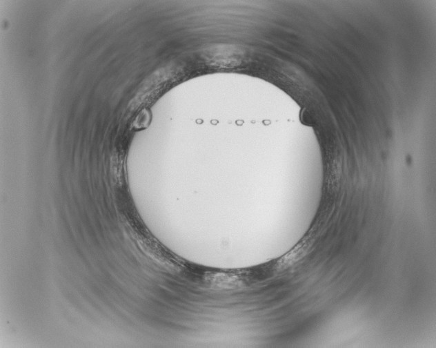 X0000052610180200507292158