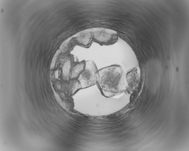 X0000052610181200507292158