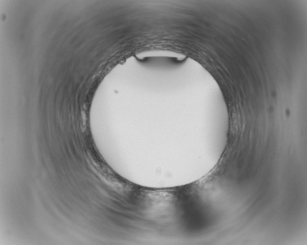 X0000052610183200507292158