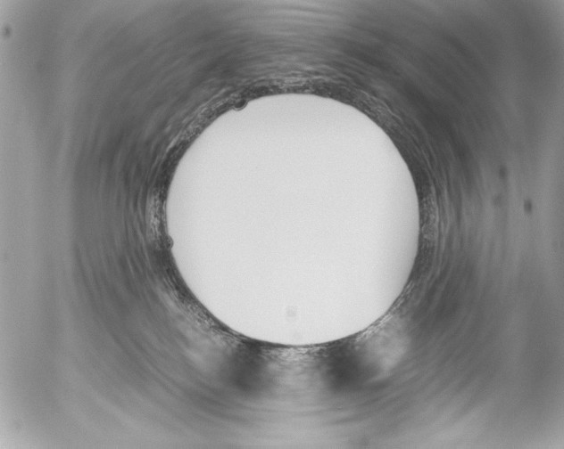 X0000052610184200507292158