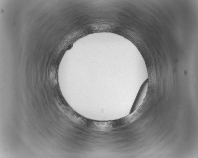 X0000052610187200507292158