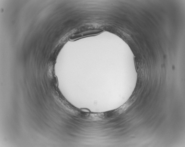 X0000052610188200507292158