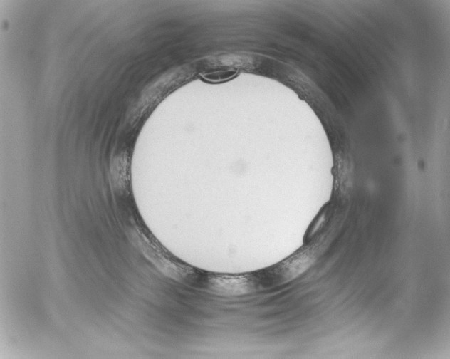 X0000052610189200507292158