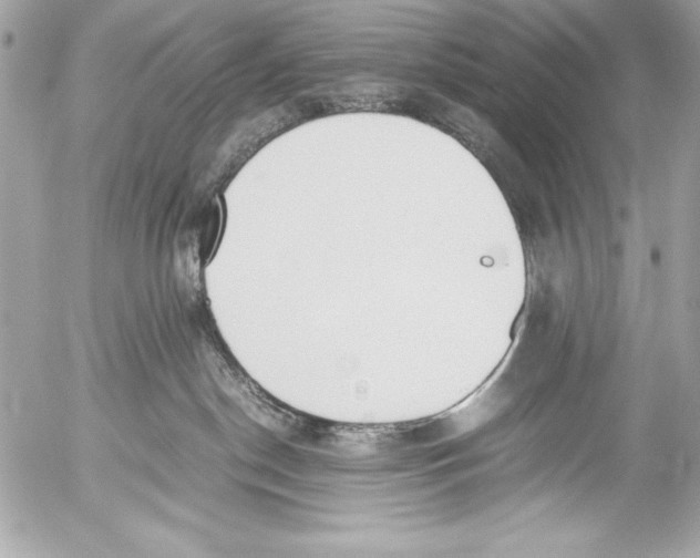 X0000052610190200507292158