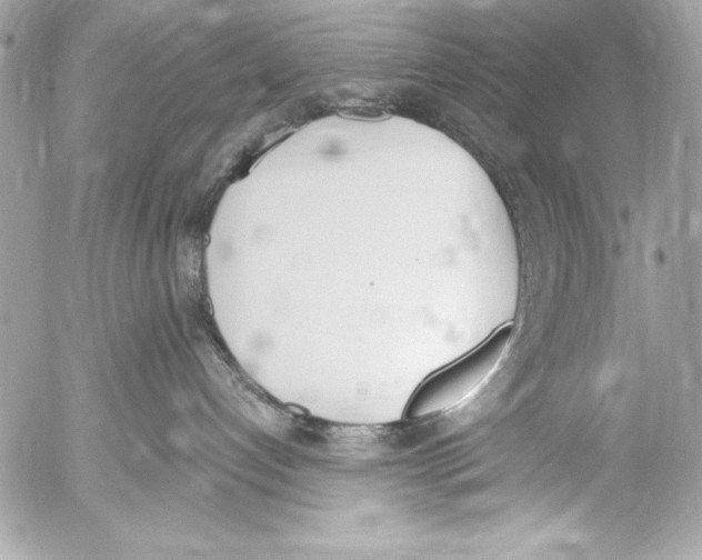 X0000052610192200507292158