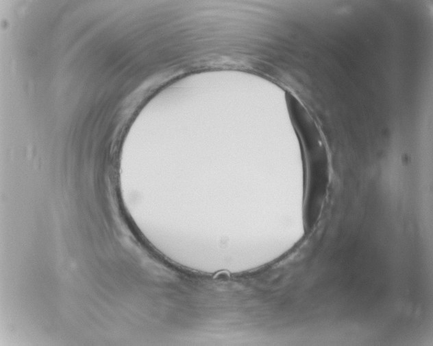 X0000052610193200507292157