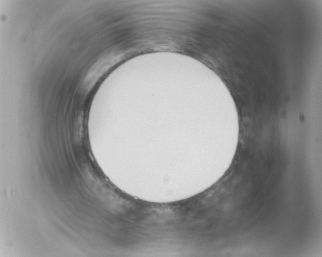 X0000052610194200507292157