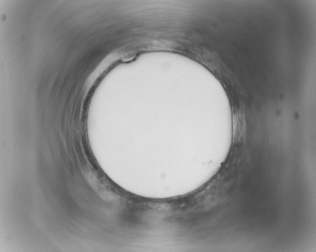 X0000052610195200507292157