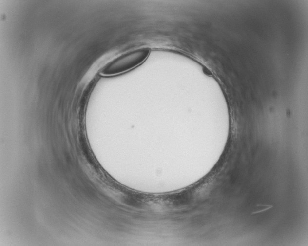 X0000052610199200507292157