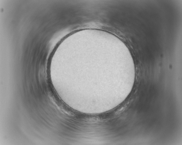 X0000052610200200507292157