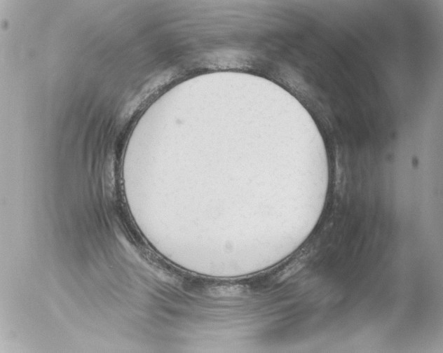 X0000052610202200507292157