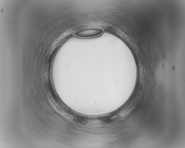 X0000052610203200507292157