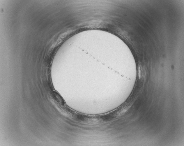 X0000052610205200507292157