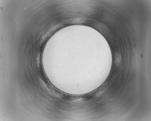 X0000052610206200507292157