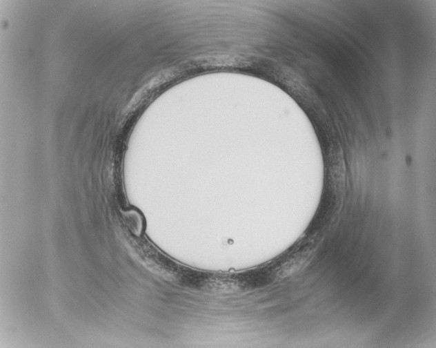 X0000052610207200507292157