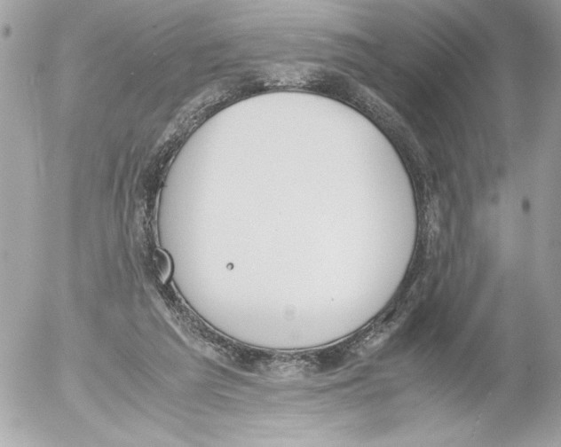 X0000052610209200507292157