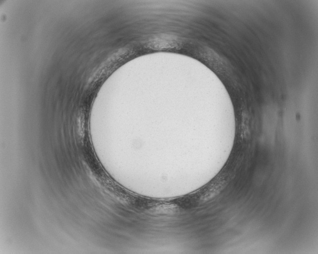 X0000052610210200507292157