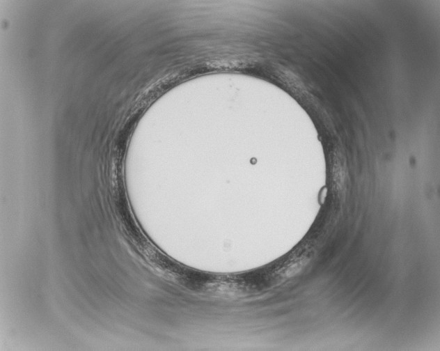 X0000052610211200507292157