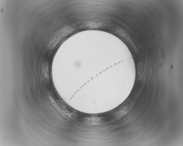 X0000052610212200507292157