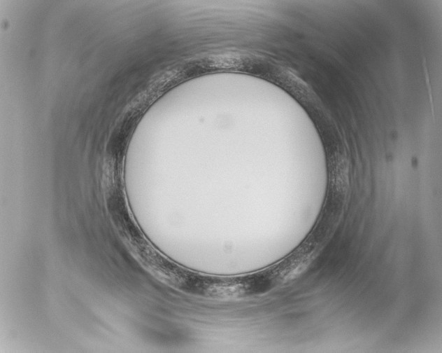 X0000052610213200507292157