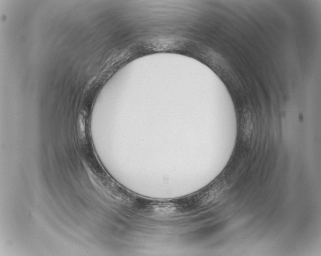 X0000052610214200507292157