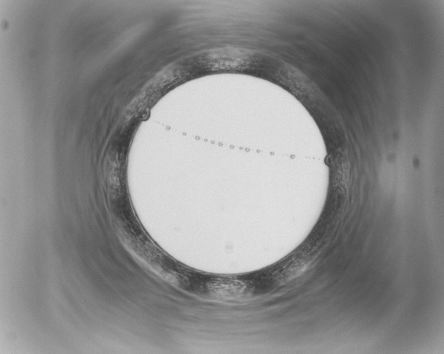 X0000052610215200507292157