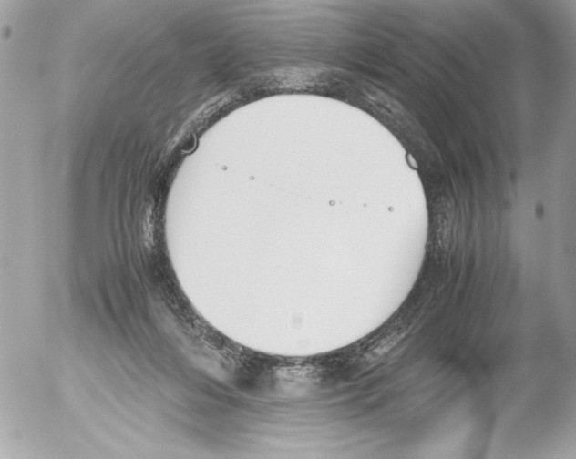 X0000052610216200507292157