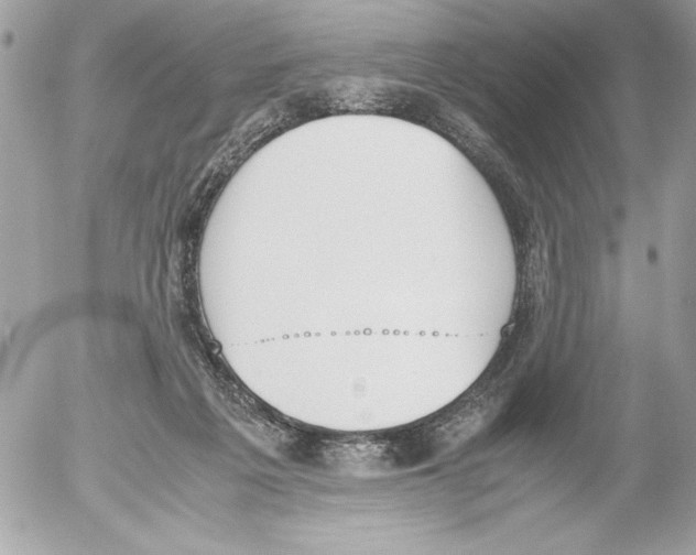 X0000052610217200507292157