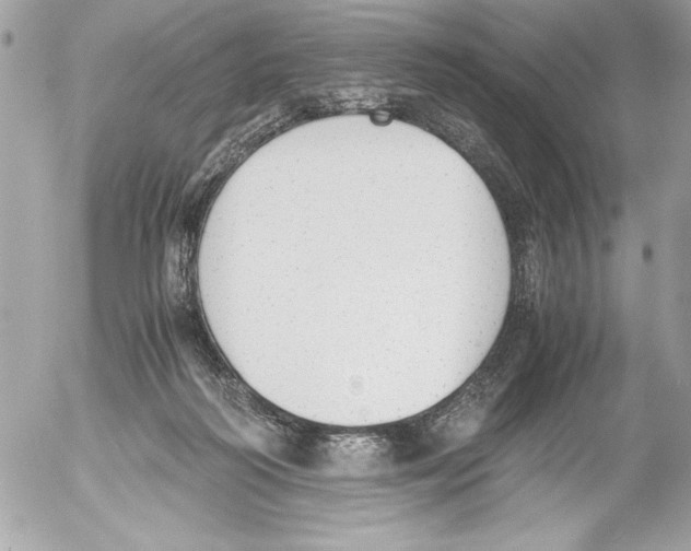 X0000052610218200507292157