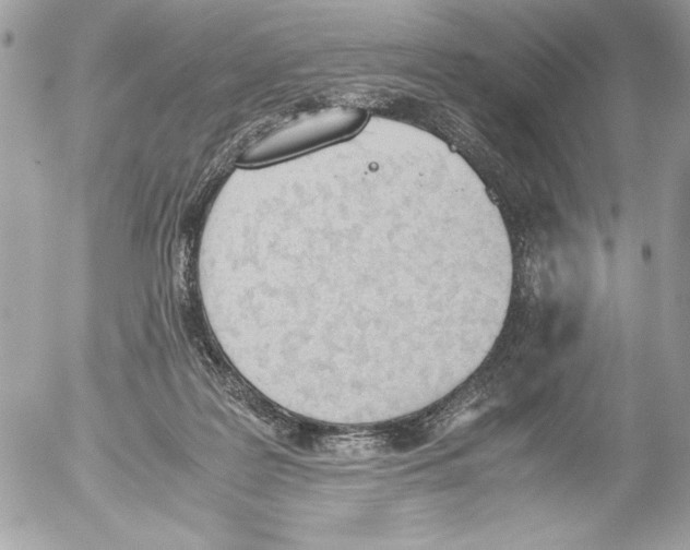 X0000052610219200507292157