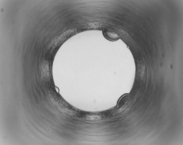 X0000052610220200507292157