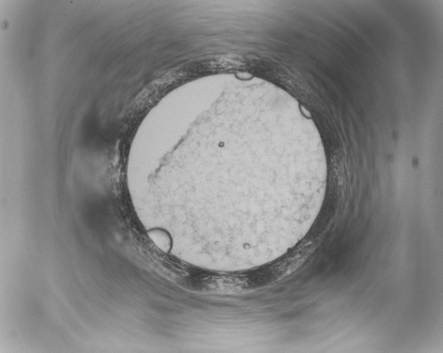 X0000052610223200507292157