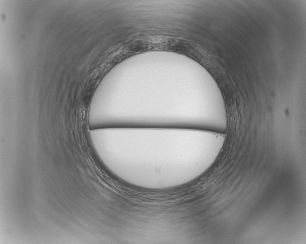 X0000052610225200507292157