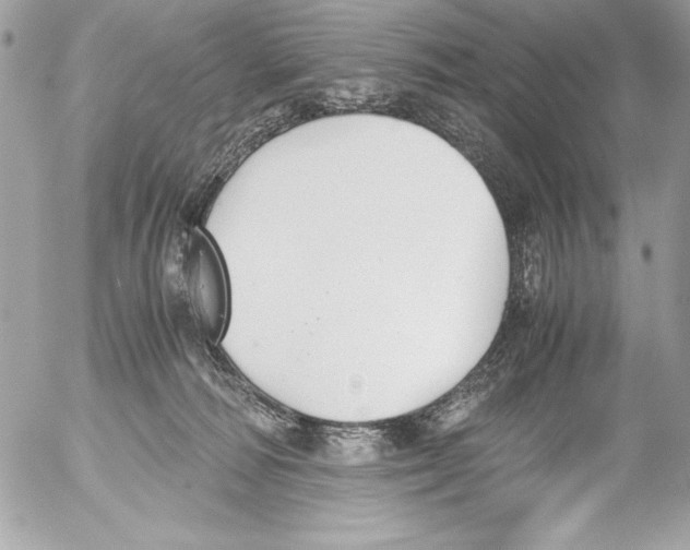 X0000052610226200507292157