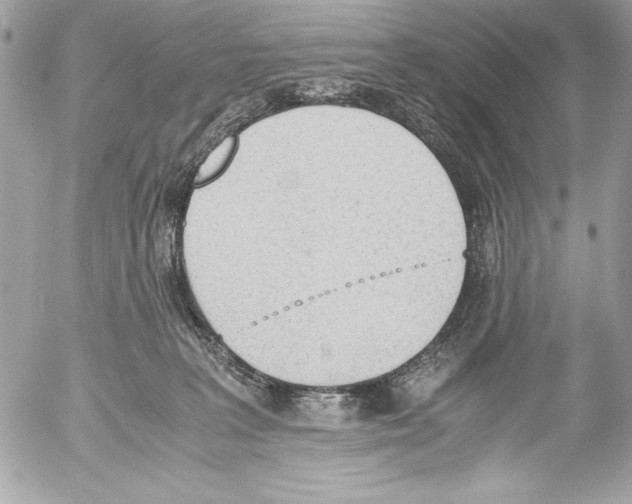 X0000052610227200507292157