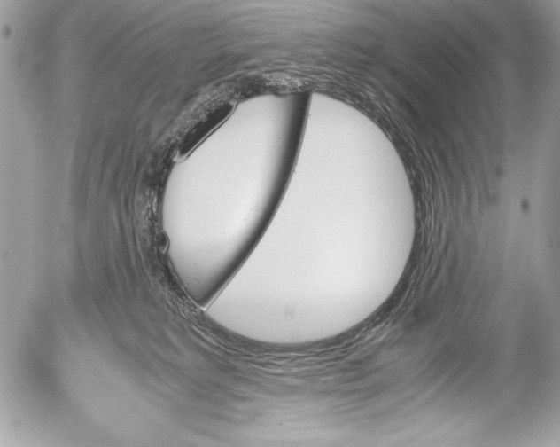 X0000052610229200507292157