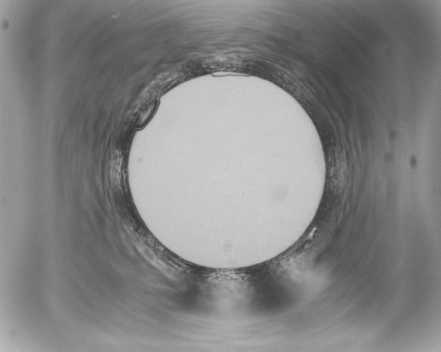 X0000052610231200507292157