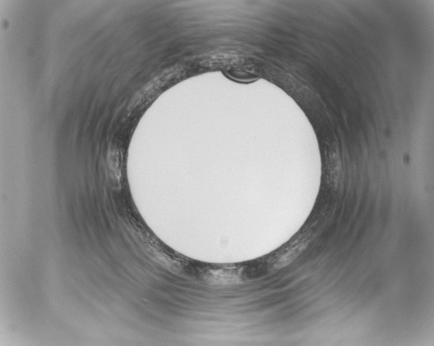 X0000052610232200507292157