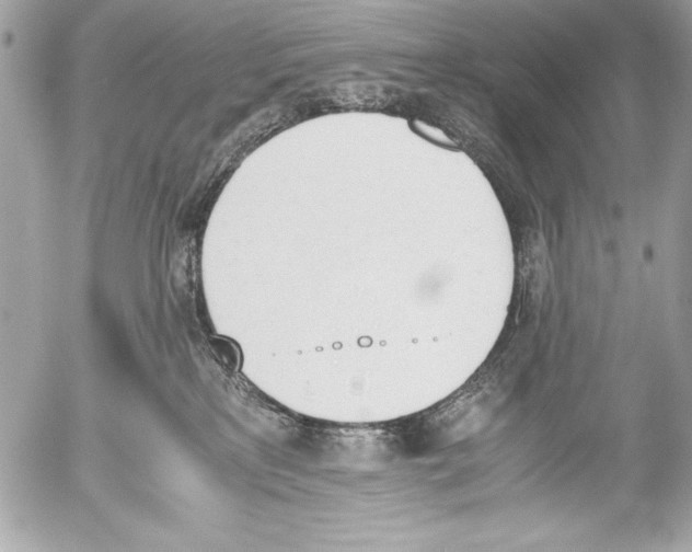 X0000052610233200507292157